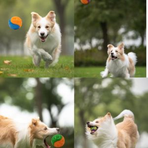 Treat Dispensing Ball