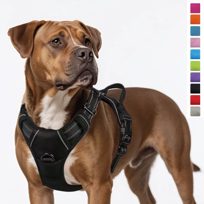 Dog Leash Pet Chest Back Nylon Dog Rope Large Dog Chest Strap Factory - Image 10