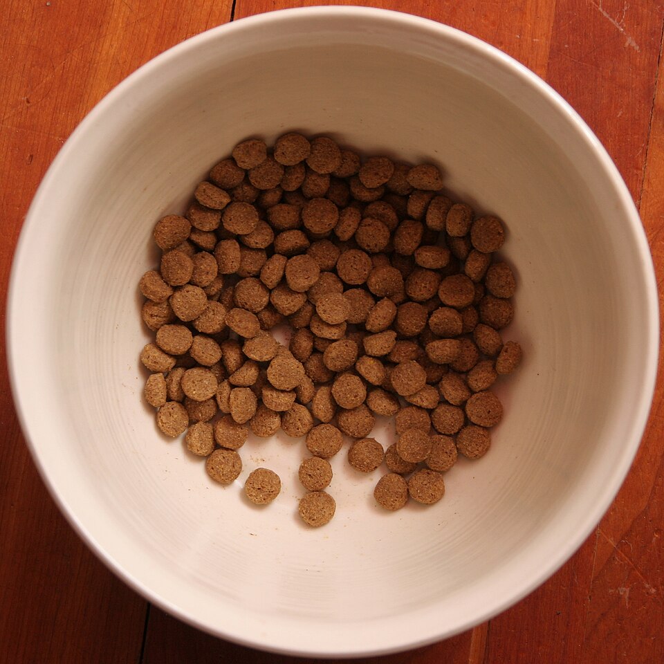 Limited-Ingredient and Hydrolyzed Dog Food: Reading Past the Hype