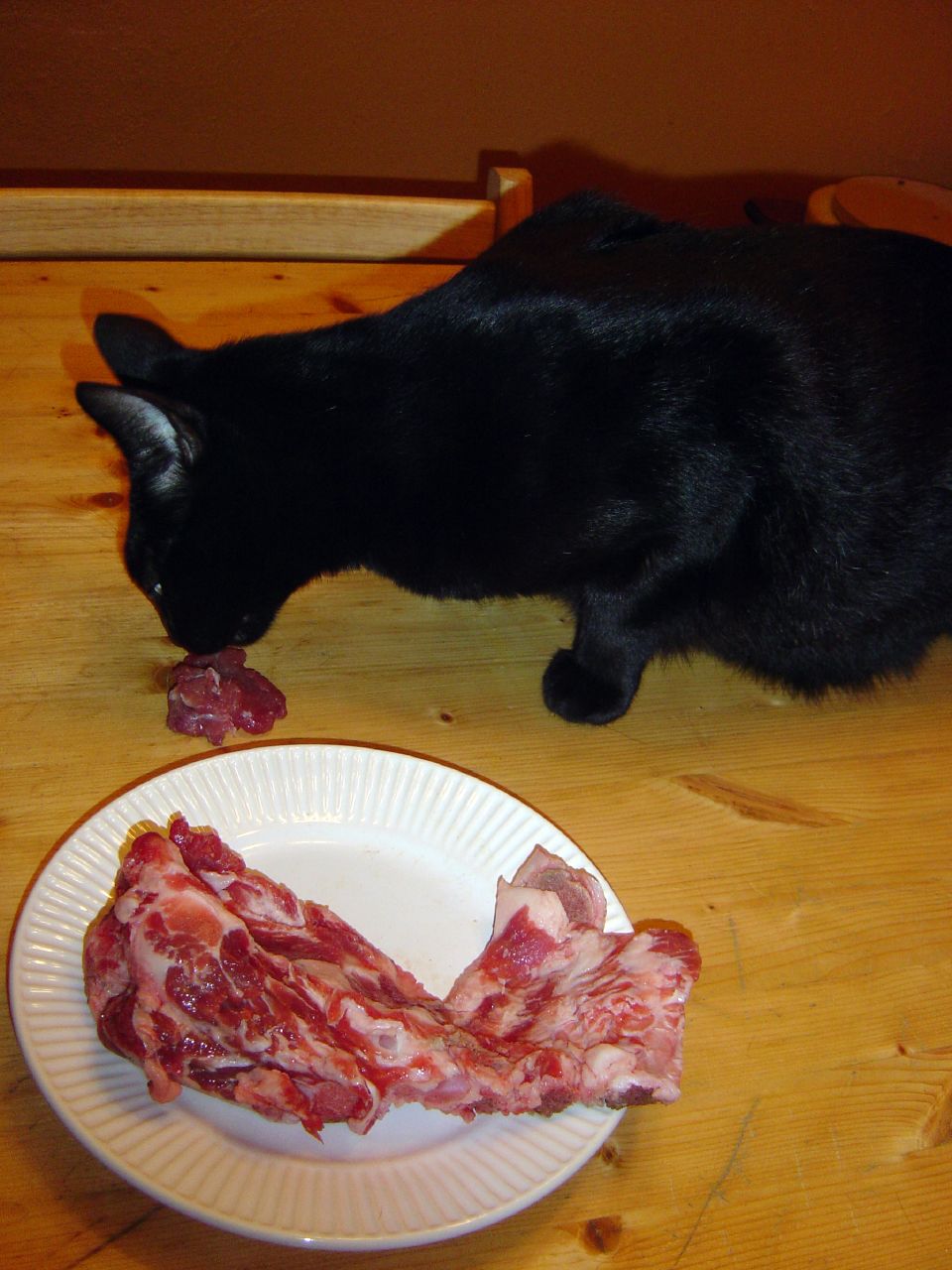 Commercial Raw Pet Food: How to Judge Nutritional Completeness