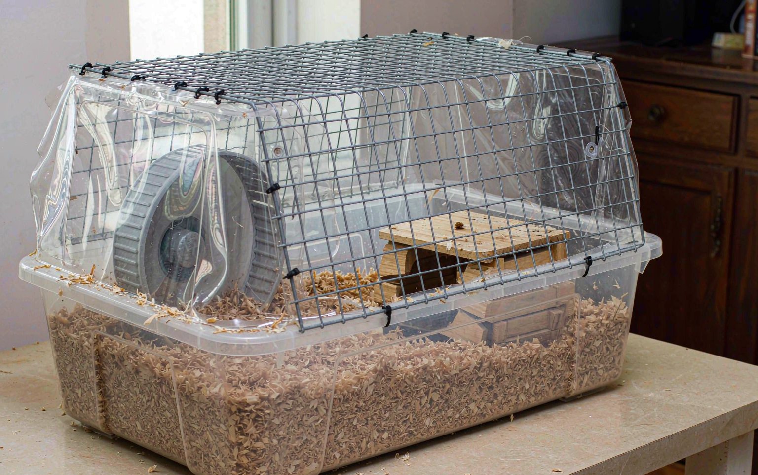 The DIY Bin Cage: A Roomy Hamster Habitat on a Small Budget