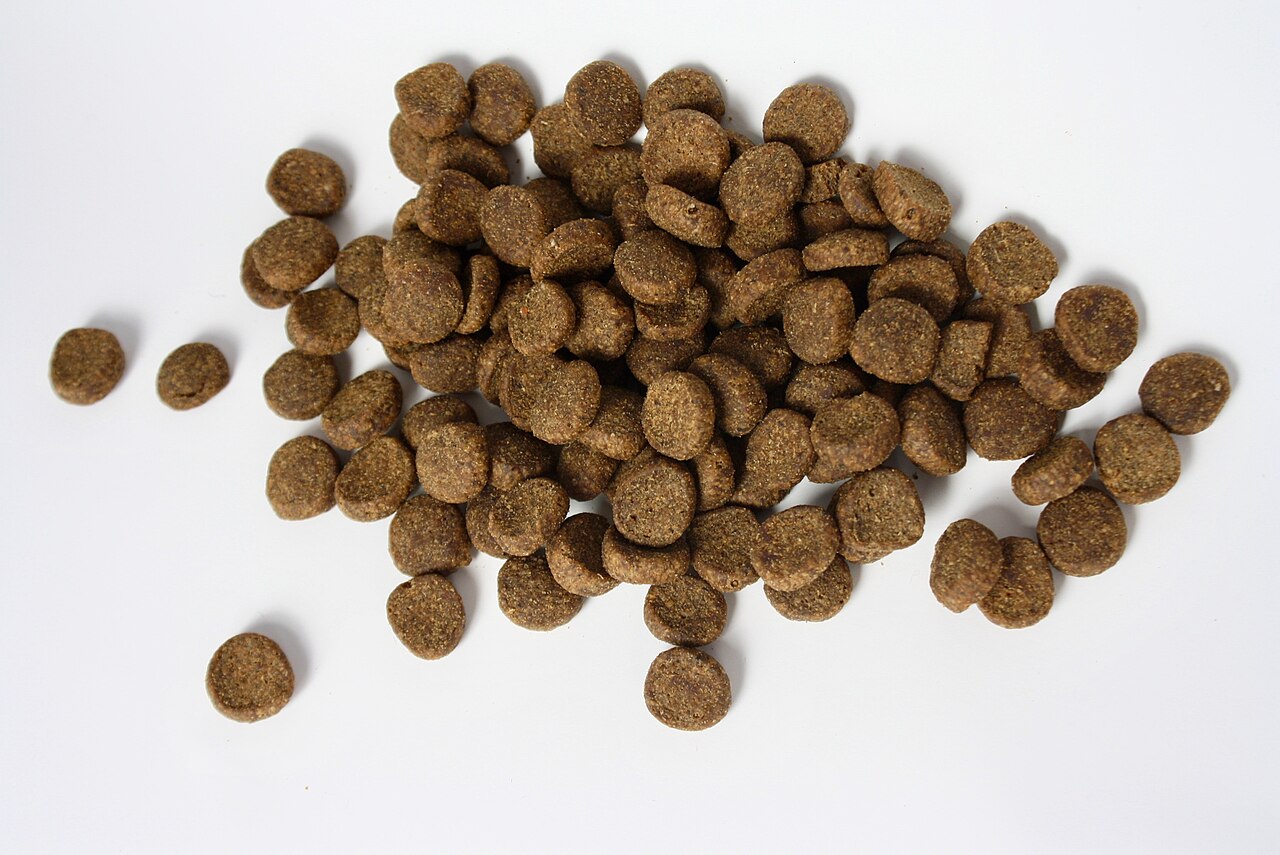 The High-Protein Dog Food Myth: What the Evidence Actually Says