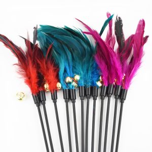 Special Offer Interactive Cat Wand Bell Interactive Cat Wand Cat Toy Wild Chicken Feather Interactive Cat Wand Funny Cat