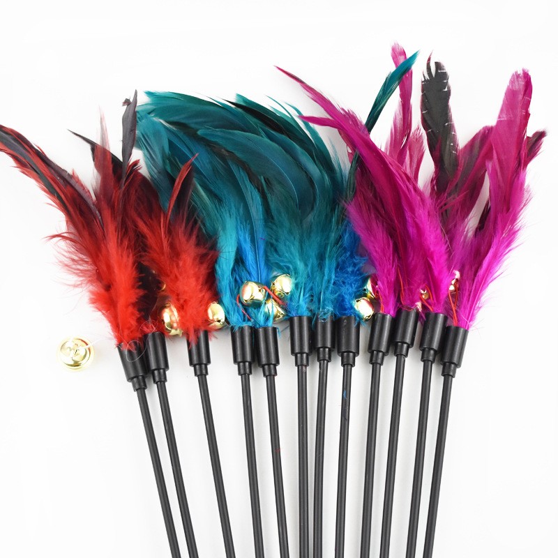 Special Offer Interactive Cat Wand Bell Interactive Cat Wand Cat Toy Wild Chicken Feather Interactive Cat Wand Funny Cat