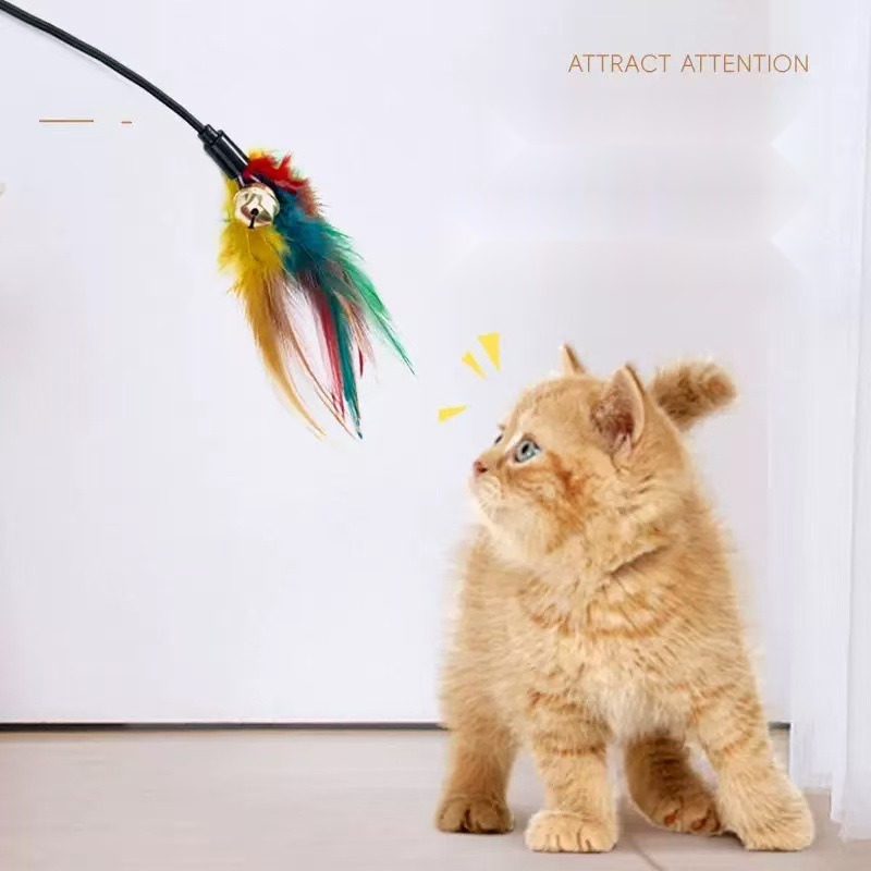 Cat Toy Interactive Cat Wand Colorful Feather Black Rod Bell Interactive Cat Wand Self-Hi Bite-Resistant Kitten Pet Cat - Image 4