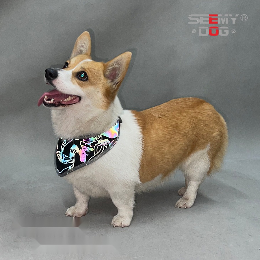 Colorful Reflective Pet Scarf Saliva Towel Hound Anti-False Killing Eye-Catching Fluorescent Color Pet Scarf - Image 5