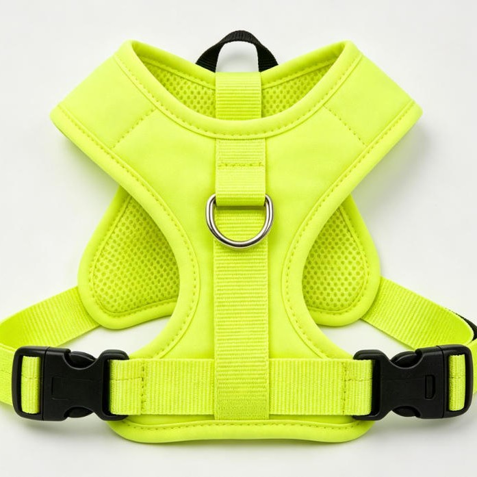 2026 New Mao Labado Border Mu Husky Chest Strap - Image 4