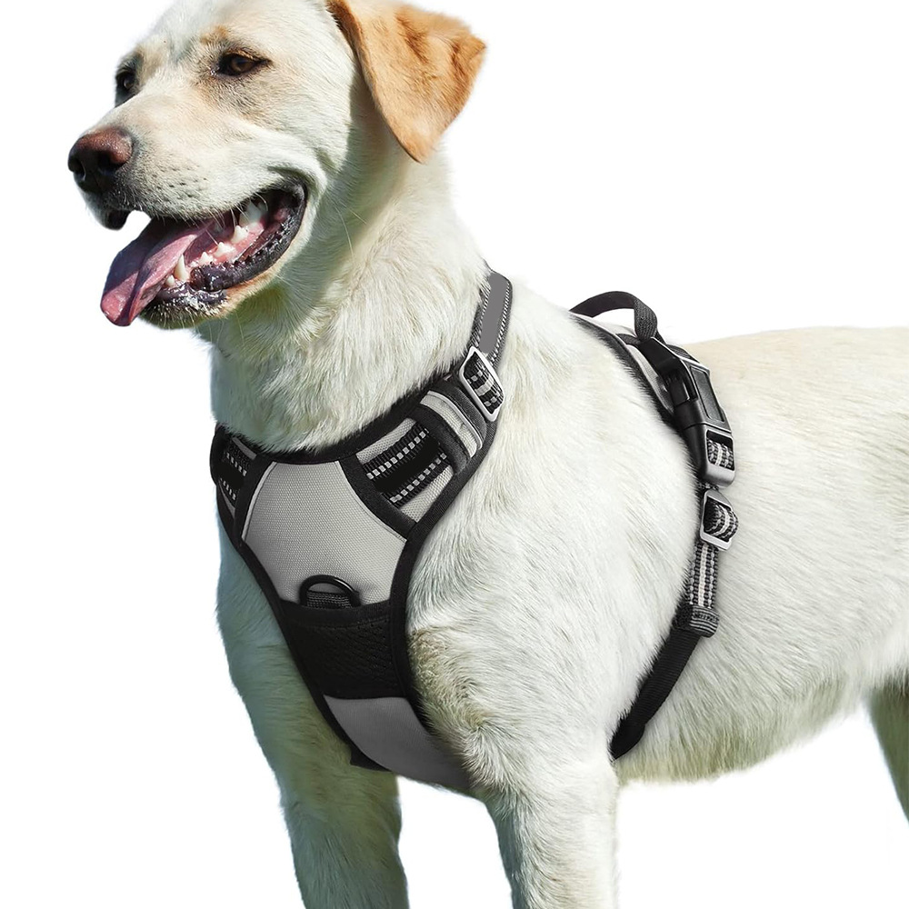Yiwu Yisheng Bag Cat and Dog out Chest Strap Small Big Dog Vest Oxford Cloth Dog Pet Chest Strap Traction Rope - Image 5
