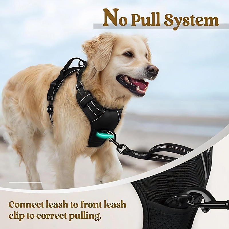 Dog Leash Pet Chest Back Nylon Dog Rope Large Dog Chest Strap Factory - Image 7