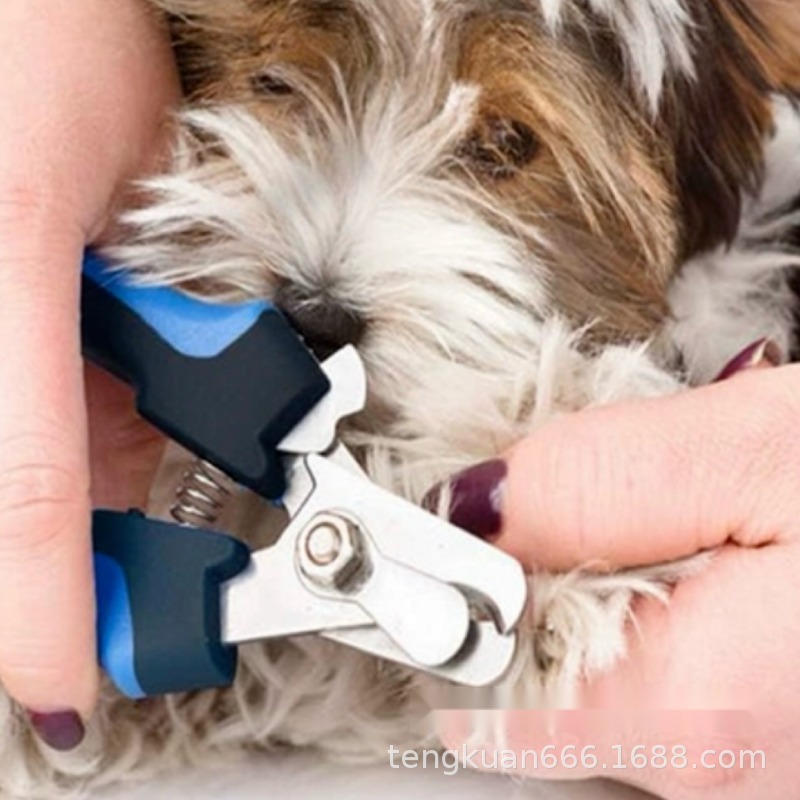Pet Nail Clippers Dog Nail Clippers Nail Grinder Set Large and Small Dogs Cat and Dog Pedicure Special Pliers Factory - Image 3