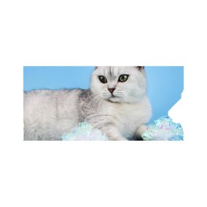 Cat Toy Collection Ringing Paper Cat Mint Relieving Stuffy Self-Hi Mint Fish Molar Teeth Cleaning Bite-Resistant Plush C