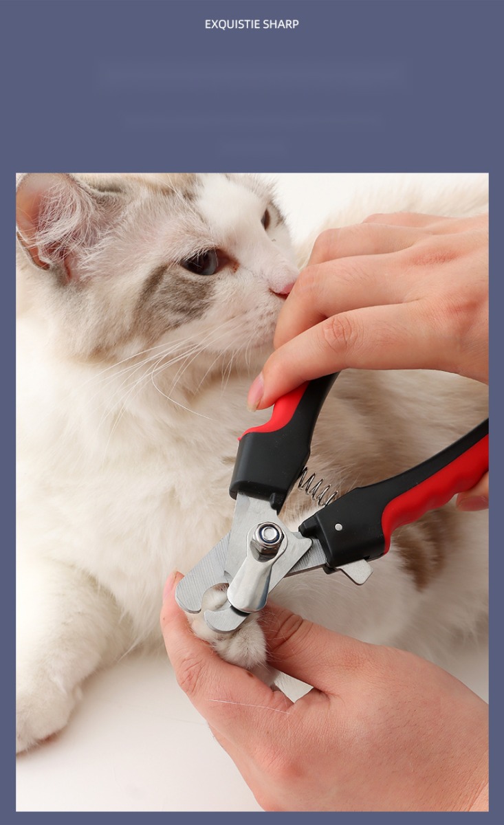 Stainless Steel Pet Nail Clippers Golden Retriever Special Set Grinding Machine Nail Clippers Cat Dog Small Dog Beauty A - Image 6