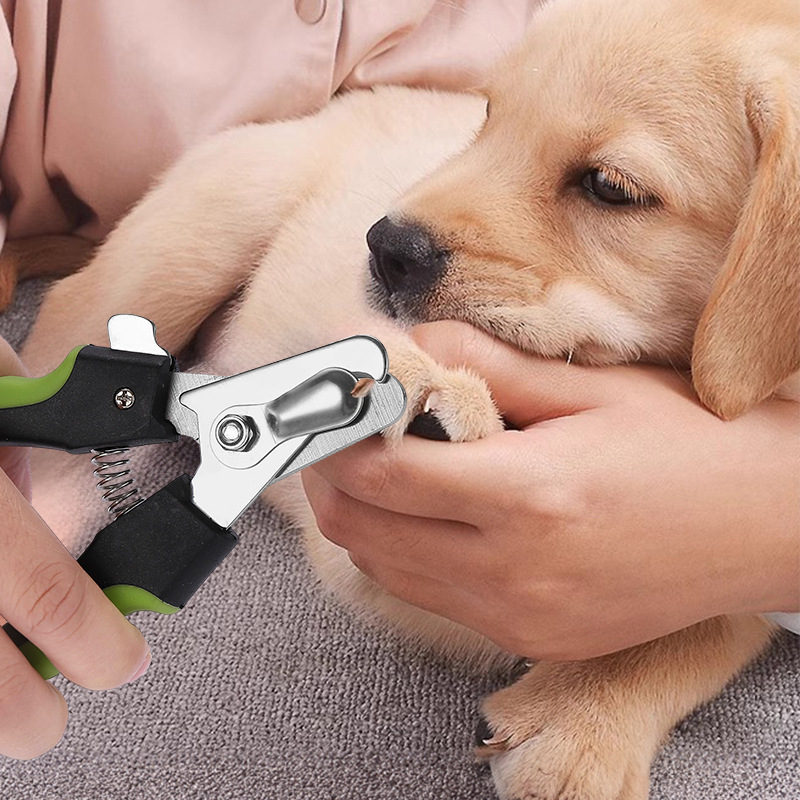 Pet Nail Clippers Big Dog Nail Clippers Cat Nail Clippers Pet Nail Clippers - Image 4