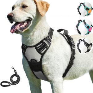 Yiwu Yisheng Bag Cat and Dog out Chest Strap Small Big Dog Vest Oxford Cloth Dog Pet Chest Strap Traction Rope