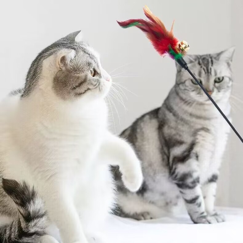Cat Interactive Cat Wand Colorful Feather Bell Black Rod Interactive Cat Wand Cat Interactive Relieving Stuffy Funny Cat - Image 5