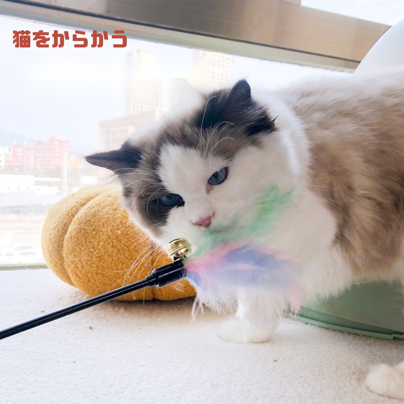 Interactive Cat Wand Macron Pet Super Long Rod Bell Cat Sound Toy Catnip Fun Interactive - Image 3