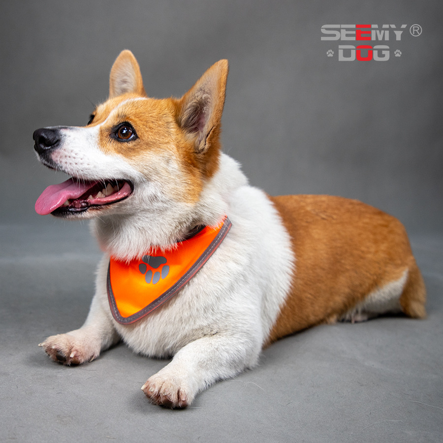 Colorful Reflective Pet Scarf Saliva Towel Hound Anti-False Killing Eye-Catching Fluorescent Color Pet Scarf - Image 4