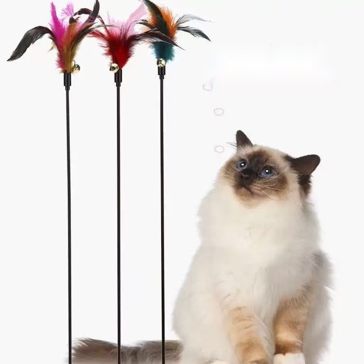 Cat Toy Interactive Cat Wand Colorful Feather Black Rod Bell Interactive Cat Wand Self-Hi Bite-Resistant Kitten Pet Cat - Image 5
