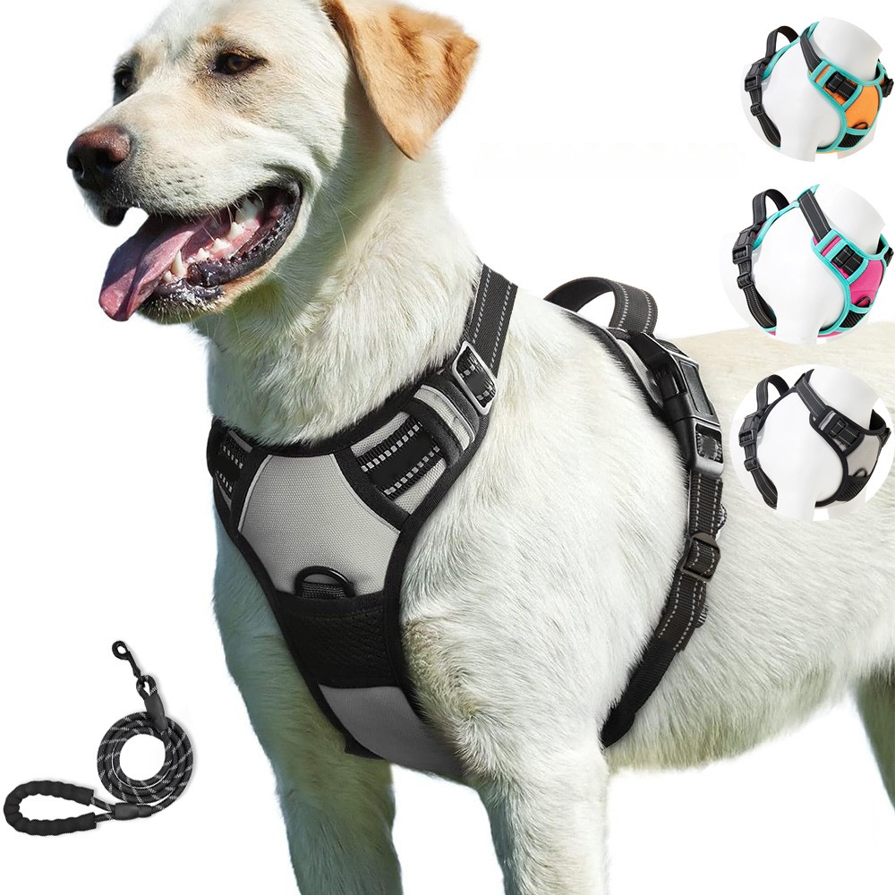 Yiwu Yisheng Bag Cat and Dog out Chest Strap Small Big Dog Vest Oxford Cloth Dog Pet Chest Strap Traction Rope - Image 8