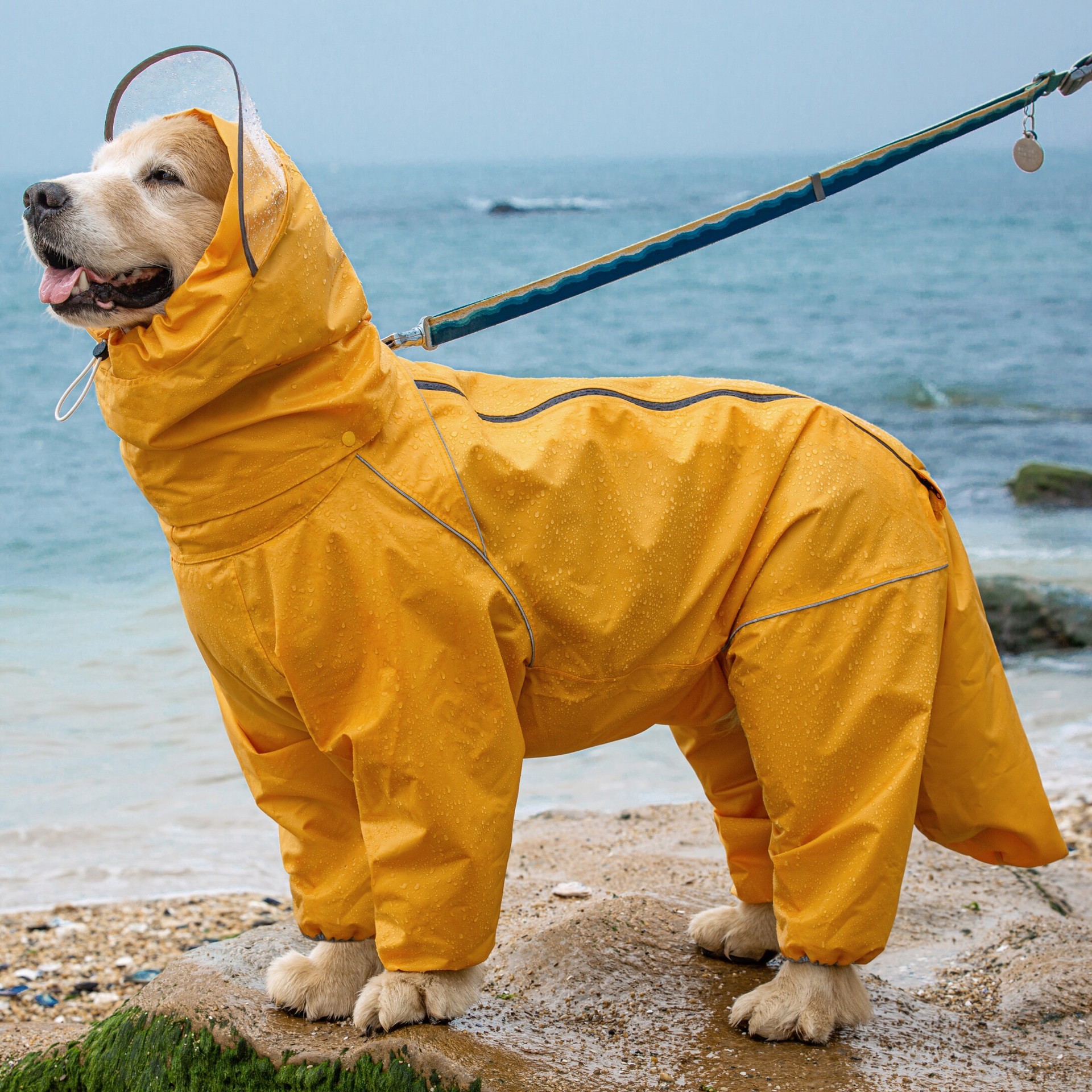 Pet Dog Big Dog Medium and Large Dog Golden Retriever Samoye Alaska All-Inclusive Raincoat Hooded Bag Tail Rain Gear - Image 3