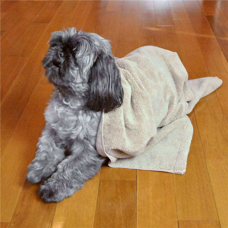 Pet Towel Bath Towel Mat Quick-Drying Absorbent Customized Extra Large Bath Microfiber Cat and Dog Towel Bath Towel - Image 4