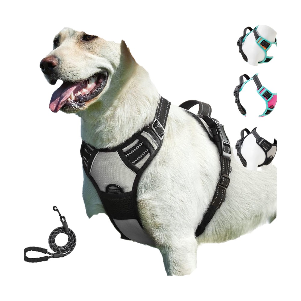 Yiwu Yisheng Bag Cat and Dog out Chest Strap Small Big Dog Vest Oxford Cloth Dog Pet Chest Strap Traction Rope - Image 7