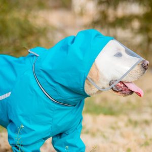 Dog Raincoat All-Inclusive Cover Tail Golden Retriever Border Mu Aras Raincoat Dog Clothing Factory