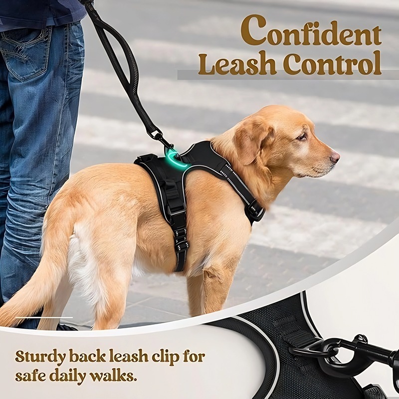 Dog Leash Pet Chest Back Nylon Dog Rope Large Dog Chest Strap Factory - Image 6
