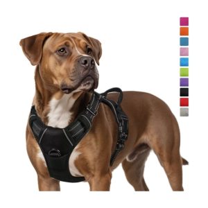 Dog Leash Pet Chest Back Nylon Dog Rope Large Dog Chest Strap Factory