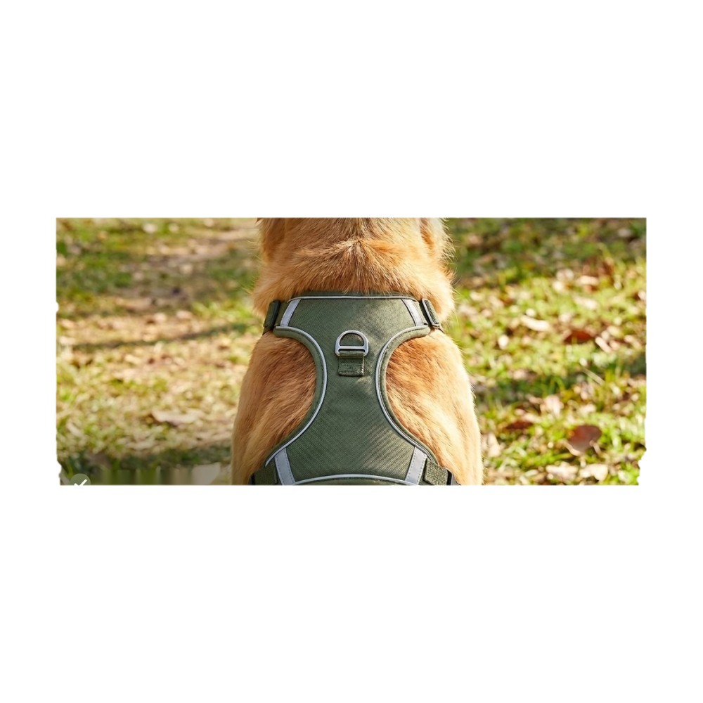 Pet Dog Outdoor Walking Dog I-Shaped Chest Back Explosion-Proof Punching Breathable Reflective Vest Medium and Large Dog - Image 2