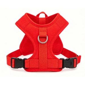2026 New Mao Labado Border Mu Husky Chest Strap