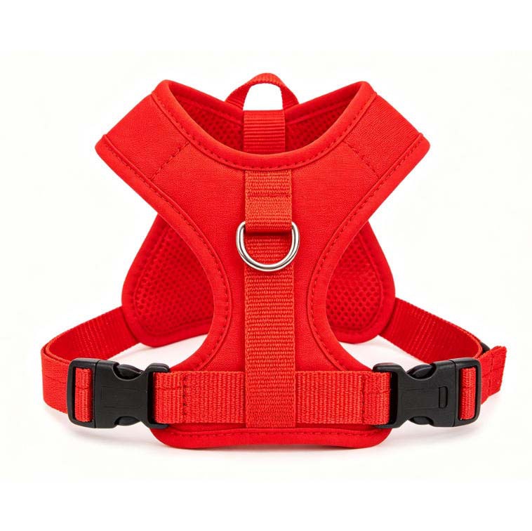 2026 New Mao Labado Border Mu Husky Chest Strap