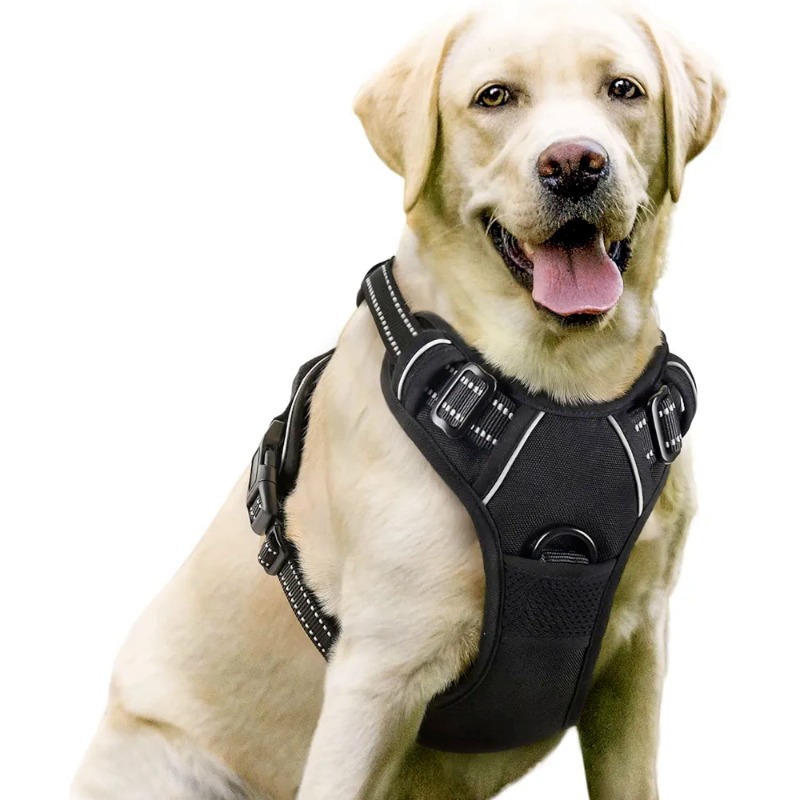 Dog Reflective Leash Medium and Large Dog Chain Dog Walking Vest Dog Rope Golden Retriever Labrador Chest Strap - Image 3