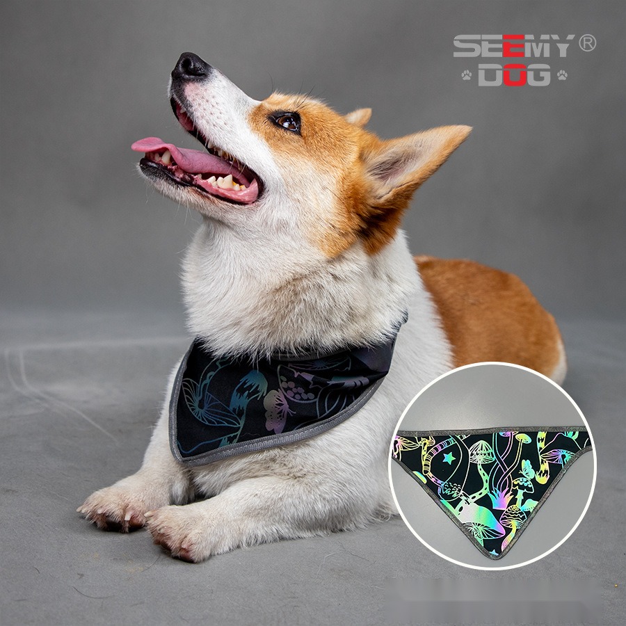 Colorful Reflective Pet Scarf Saliva Towel Hound Anti-False Killing Eye-Catching Fluorescent Color Pet Scarf - Image 3