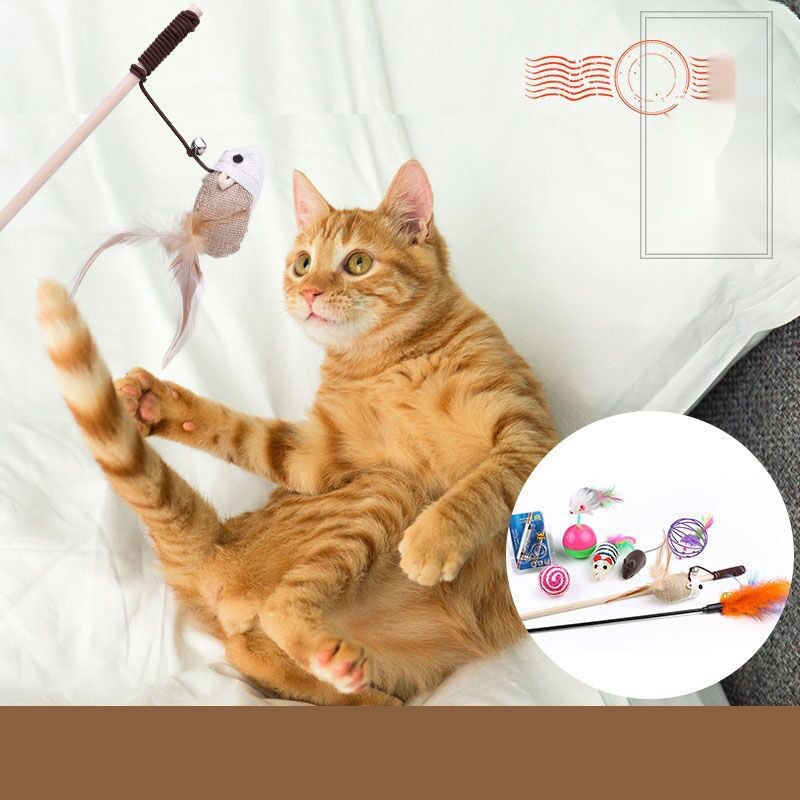 Cat Toy Interactive Cat Wand Feather Cat Ringing Paper Bell Bucket Cat Interactive Set Kitten Cat Supplies Pet Cat - Image 4