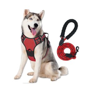 Pet Chest Back Explosion-Proof Punching Vest Reflective Dog Chest Back Large Dog Pet Chest Back Traction Rope Set