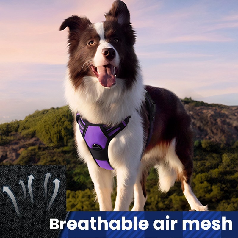 Dog Leash Pet Chest Back Nylon Dog Rope Large Dog Chest Strap Factory - Image 5