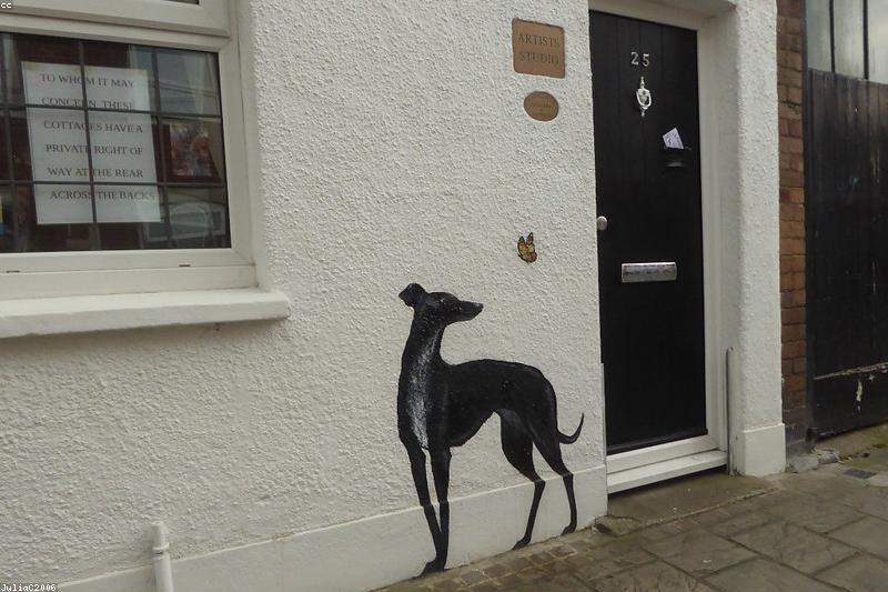 Door Manners 101: How to Stop Your Dog from Dashing Out the Door
