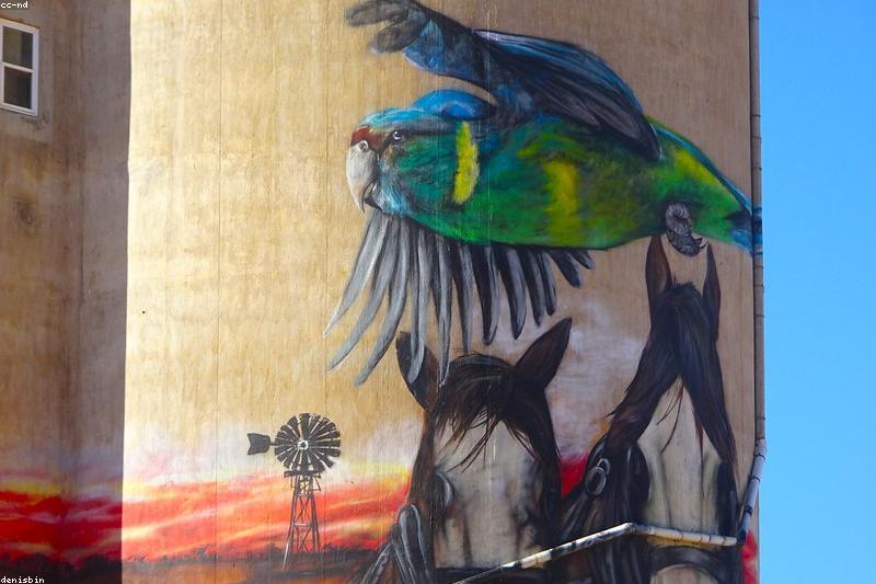Why Does My Parrot Scream So Much? A Calm Plan That Actually Works