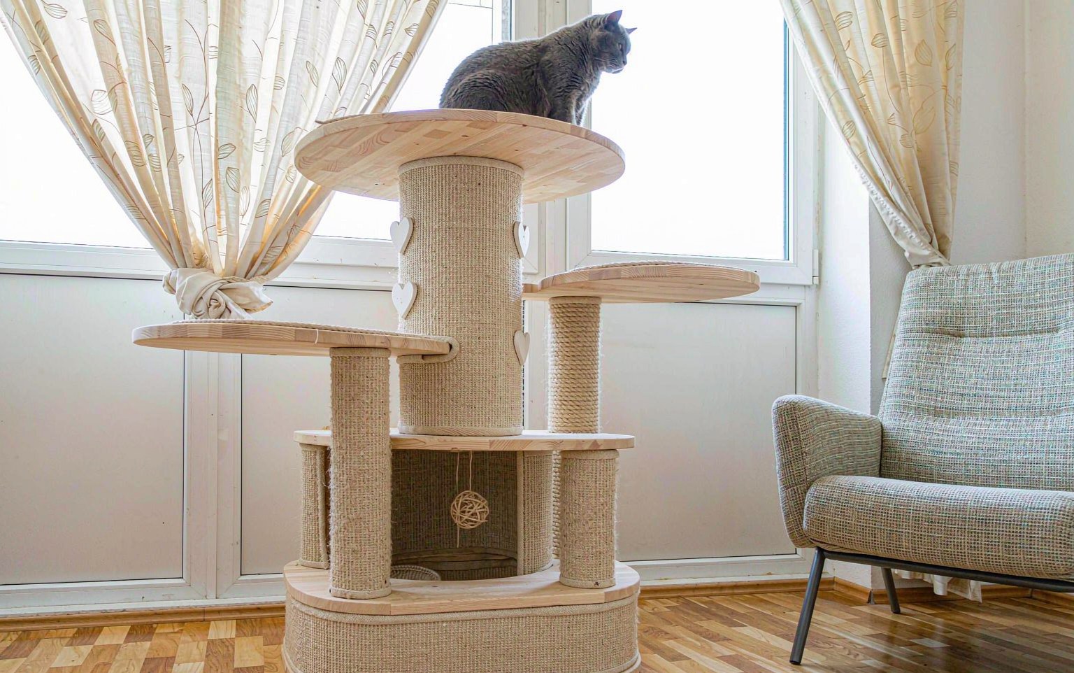 How to Choose and Place a Cat Tree: Stability, Perches and Sisal